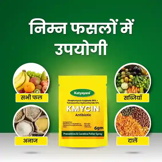 Katyayani KMYCIN Chemical fungicide | Streptomycin Sulphate 90% + Tetracycline Hydrochloride 10% - Image 4