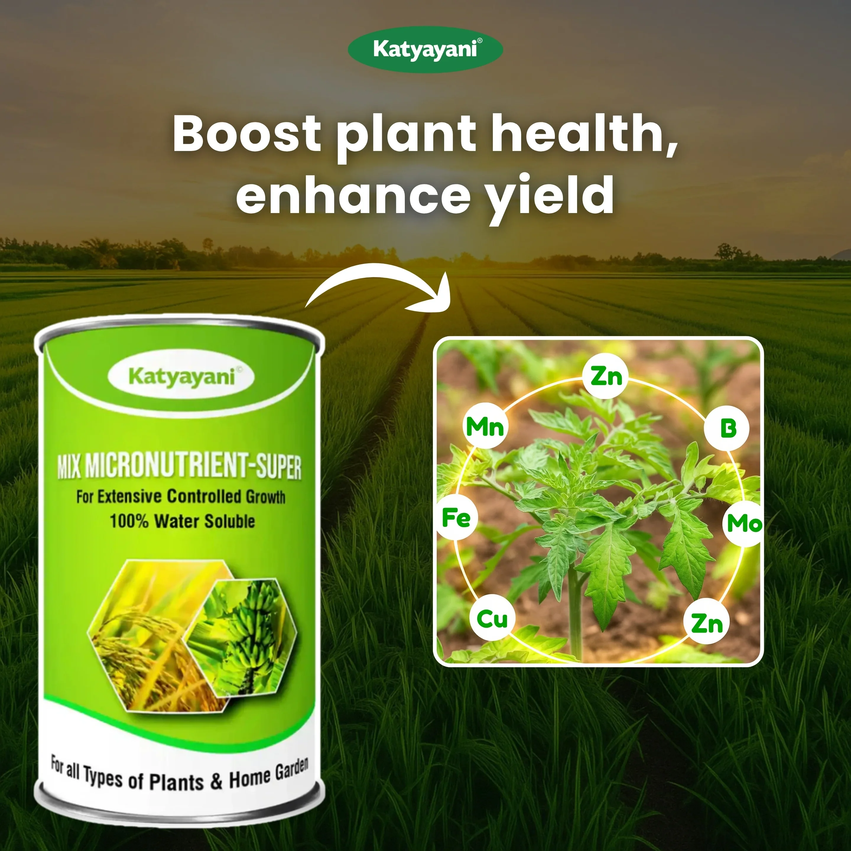 Katyayani Mix Micronutrient Fertilizer | Super for Home Garden, Nursery and Agriculture use - Image 2