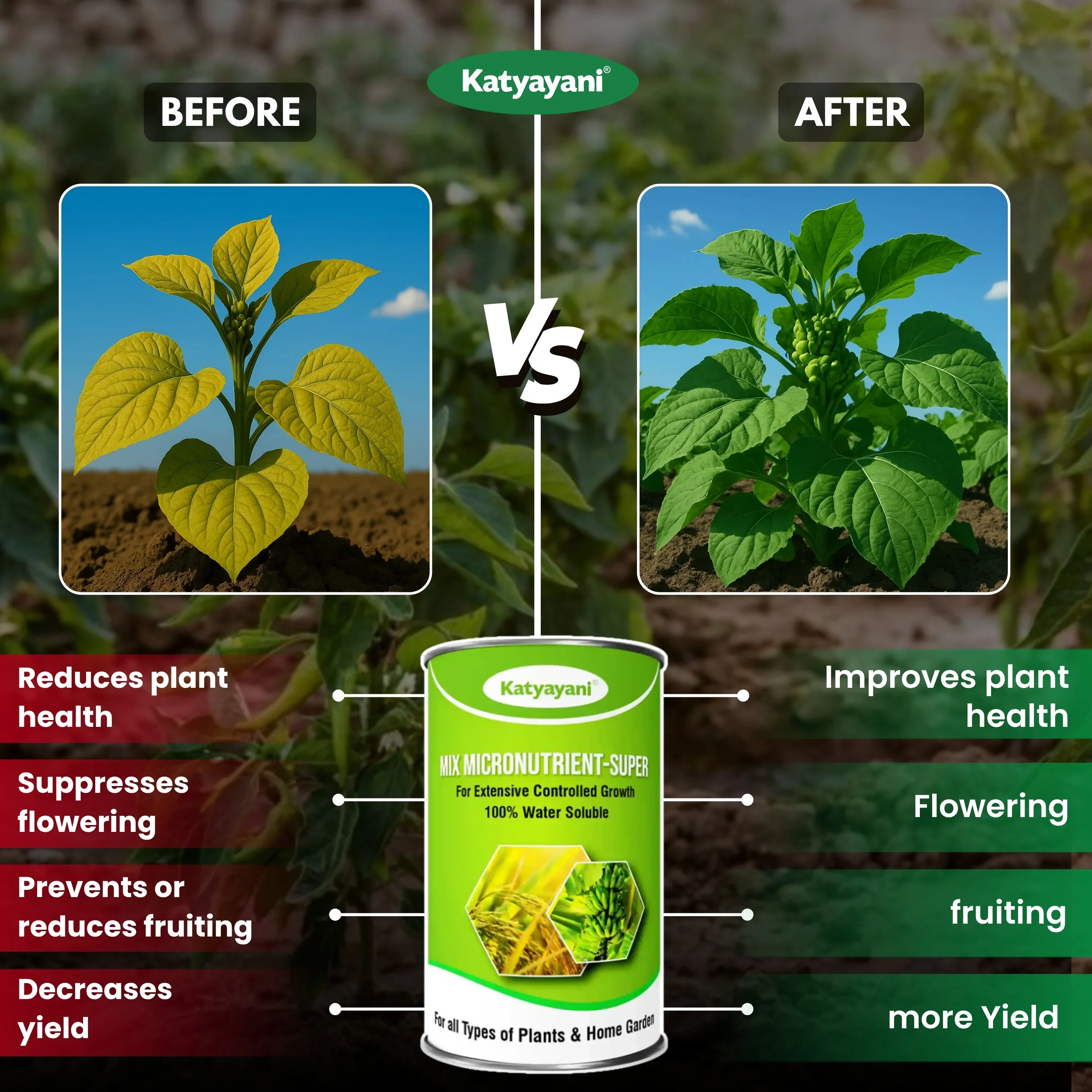 Katyayani Mix Micronutrient Fertilizer | Super for Home Garden, Nursery and Agriculture use - Image 3
