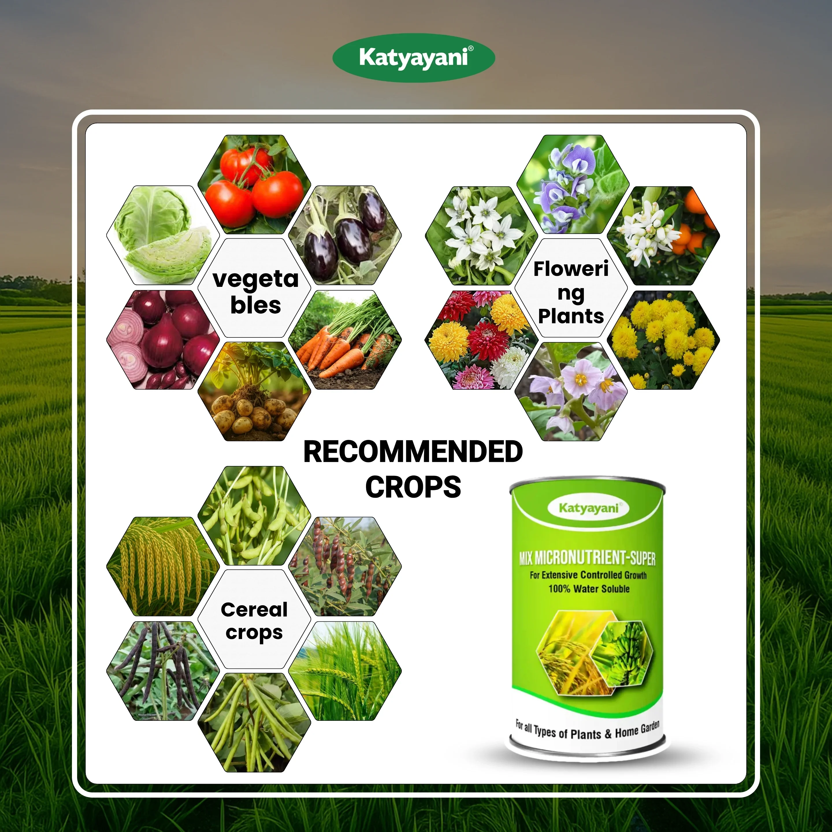 Katyayani Mix Micronutrient Fertilizer | Super for Home Garden, Nursery and Agriculture use - Image 4