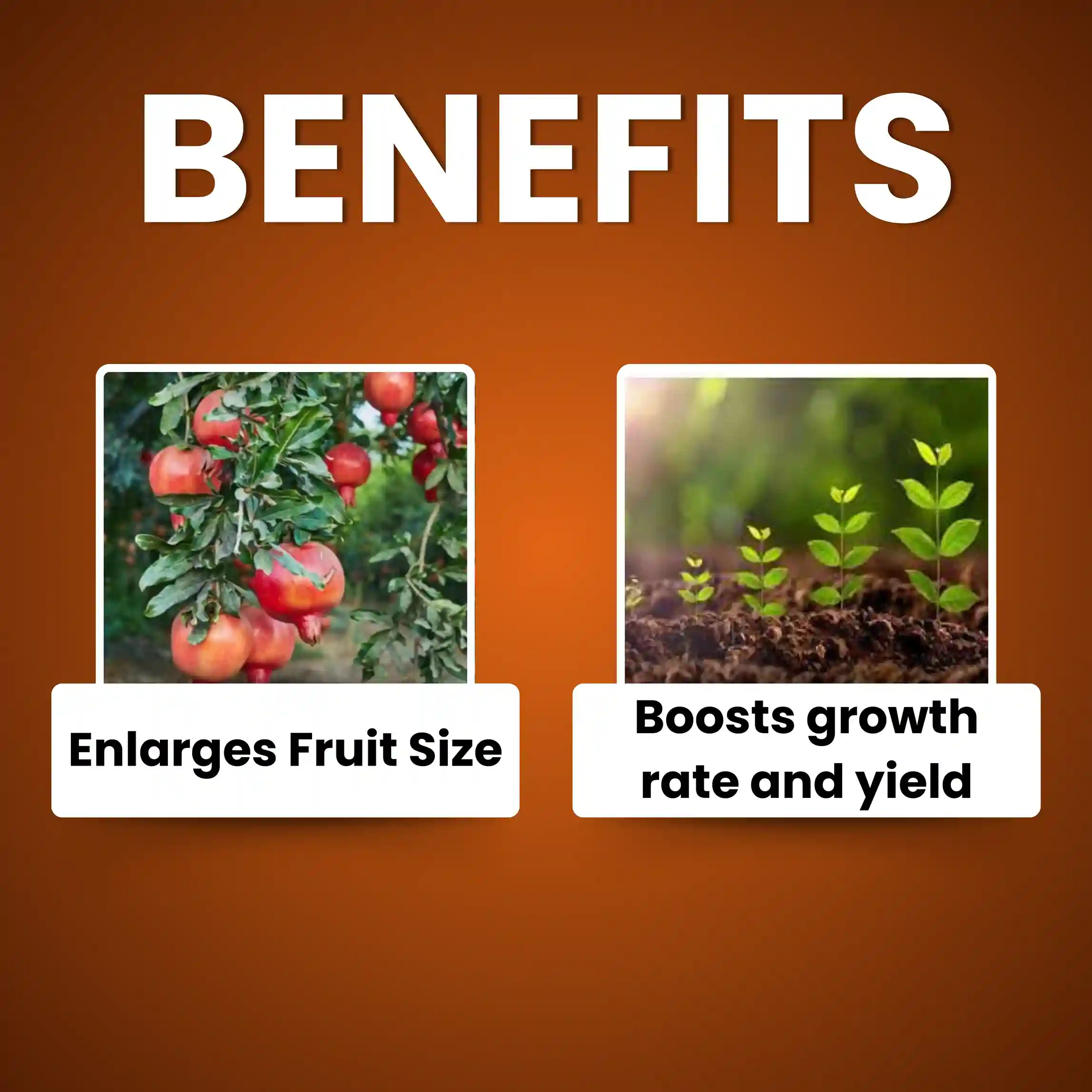 Katyayani Nutritious | Triacontanol 0.1% EW | Plant growth regulator - Image 3