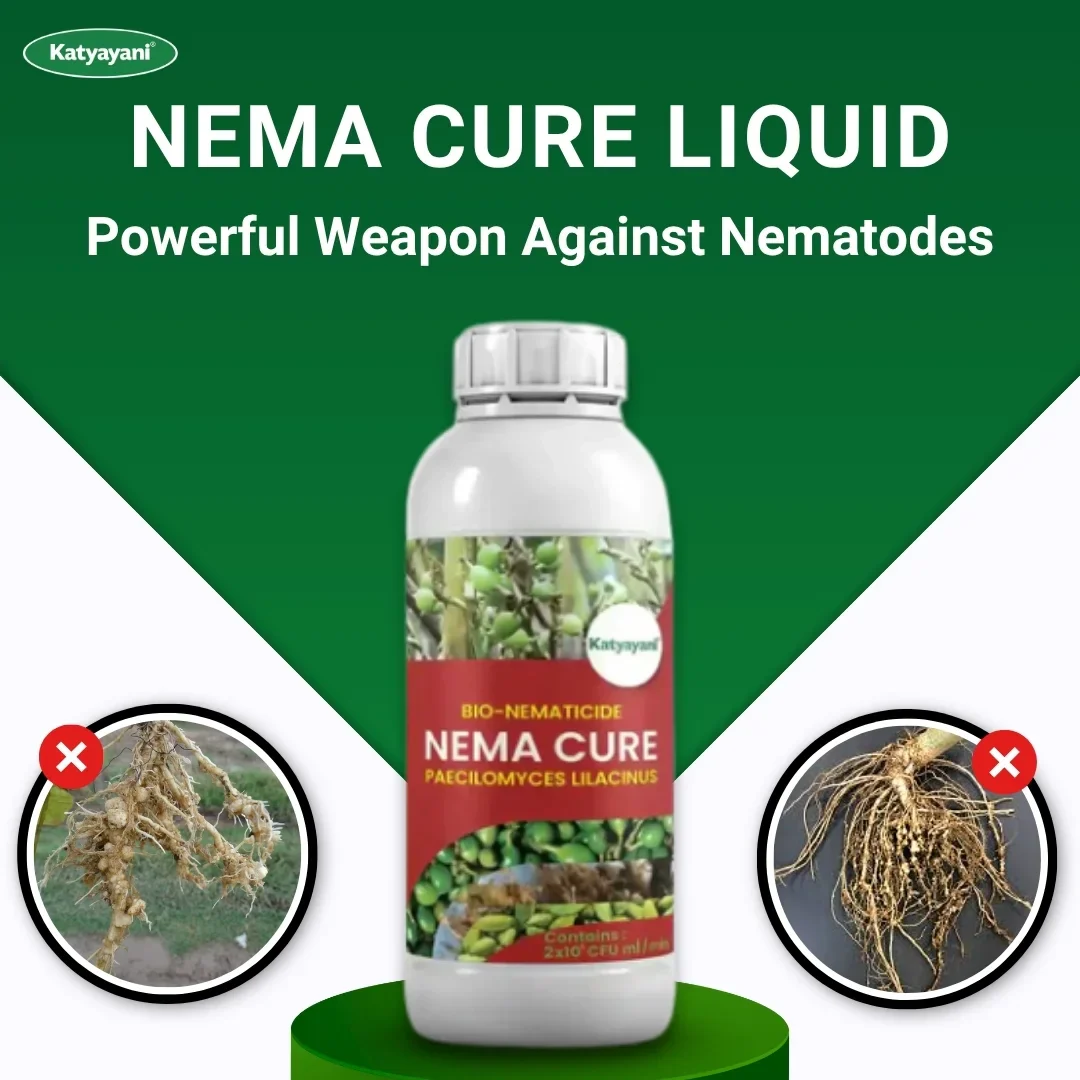 Katyayani Nema Cure | Paecilomyces Lilacinus Liquid | Cauliflower Pesticides & Cotton Pest Control - Image 2