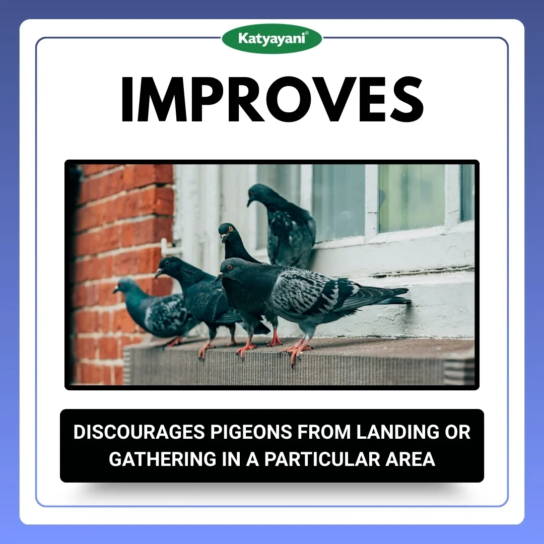 Katyayani pigeon Repellent - Image 3