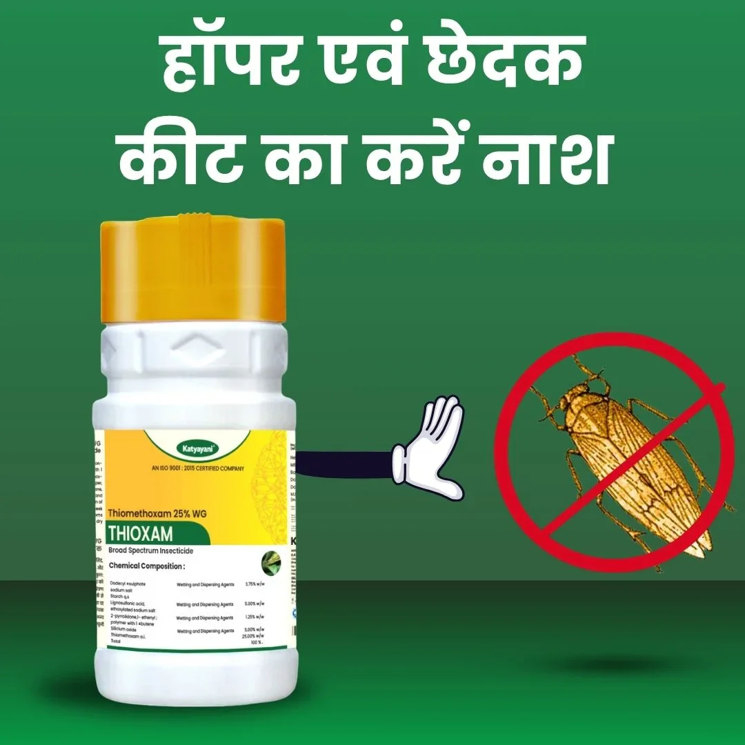 Katyayani Thioxam | Thiamethoxam 25% WG | Chemical Insecticide - Image 2