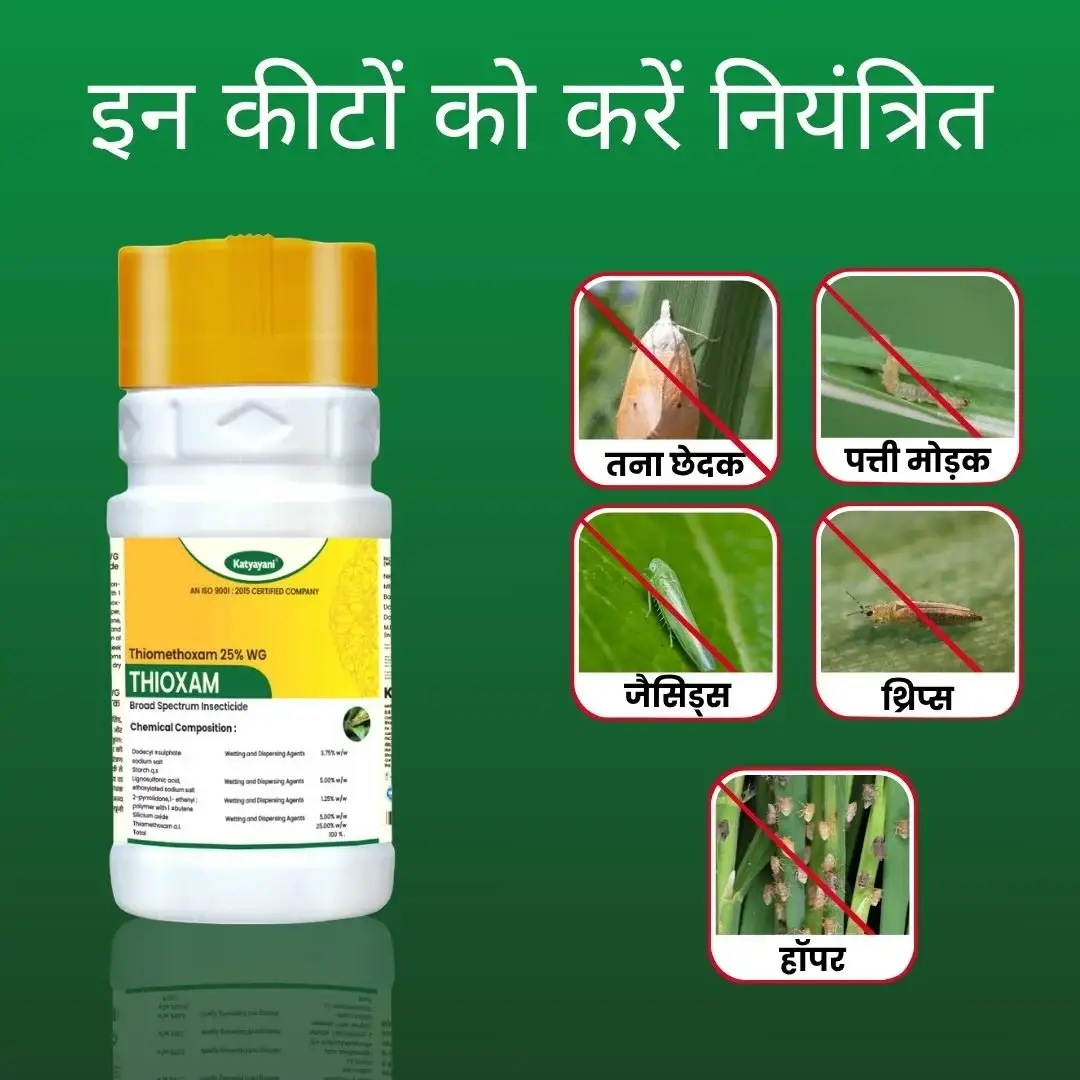 Katyayani Thioxam | Thiamethoxam 25% WG | Chemical Insecticide - Image 3
