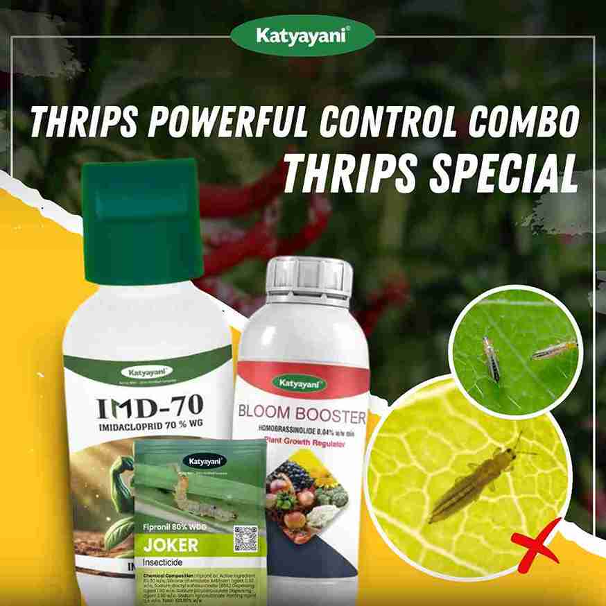 Katyayani Thrips Powerful Control Combo 70-100 Days (IMD-70 (30 GM) + Joker 40 GM + Bloom Booster 100 ML )