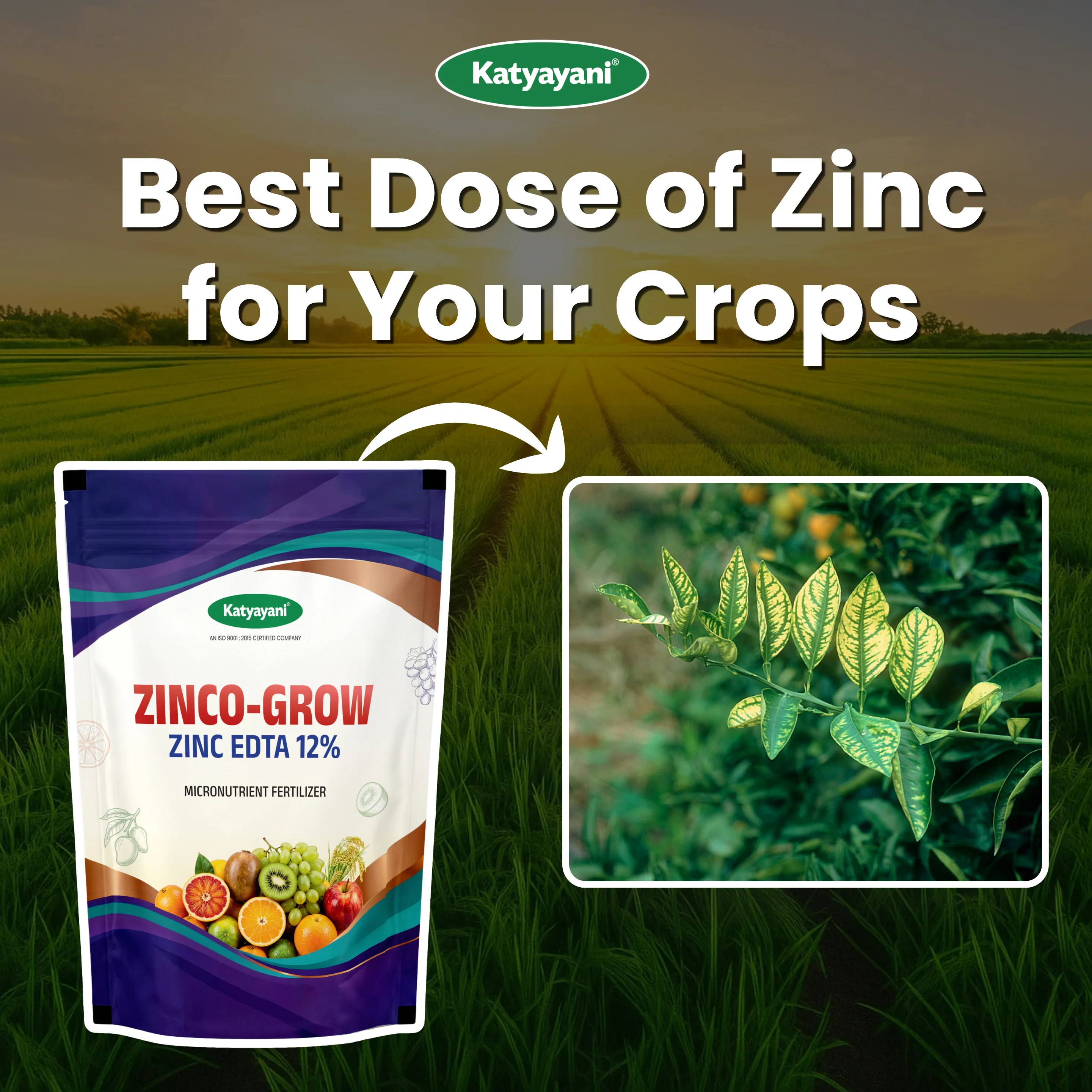 Katyayani Zinco Grow (Zinc EDTA 12%) Fertilizer | Soil Activator and Fertilizer for Crops - Image 2