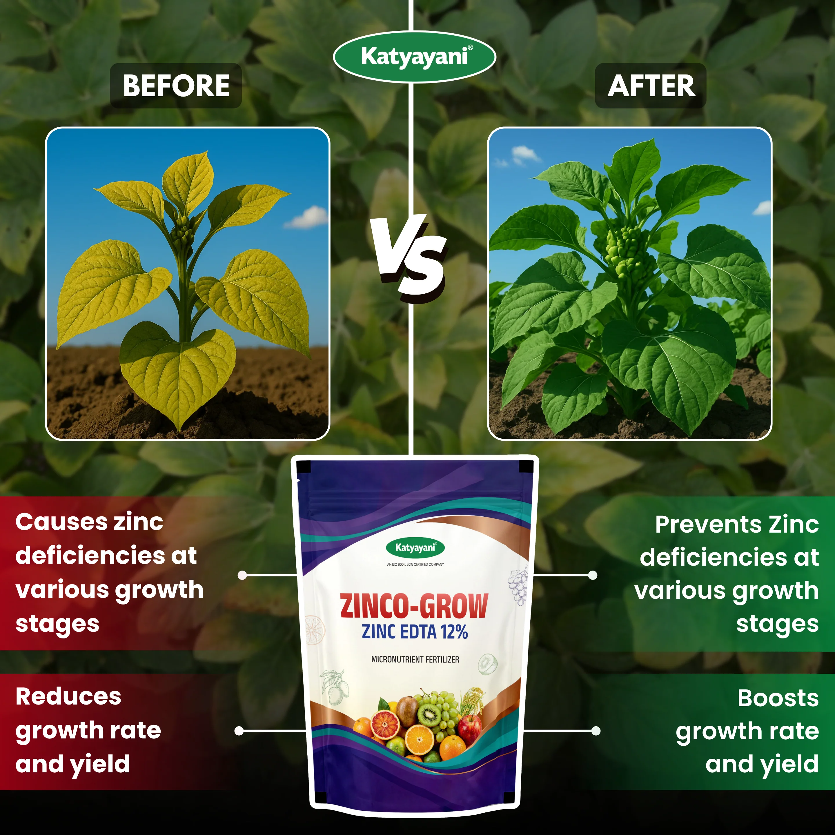 Katyayani Zinco Grow (Zinc EDTA 12%) Fertilizer | Soil Activator and Fertilizer for Crops - Image 3