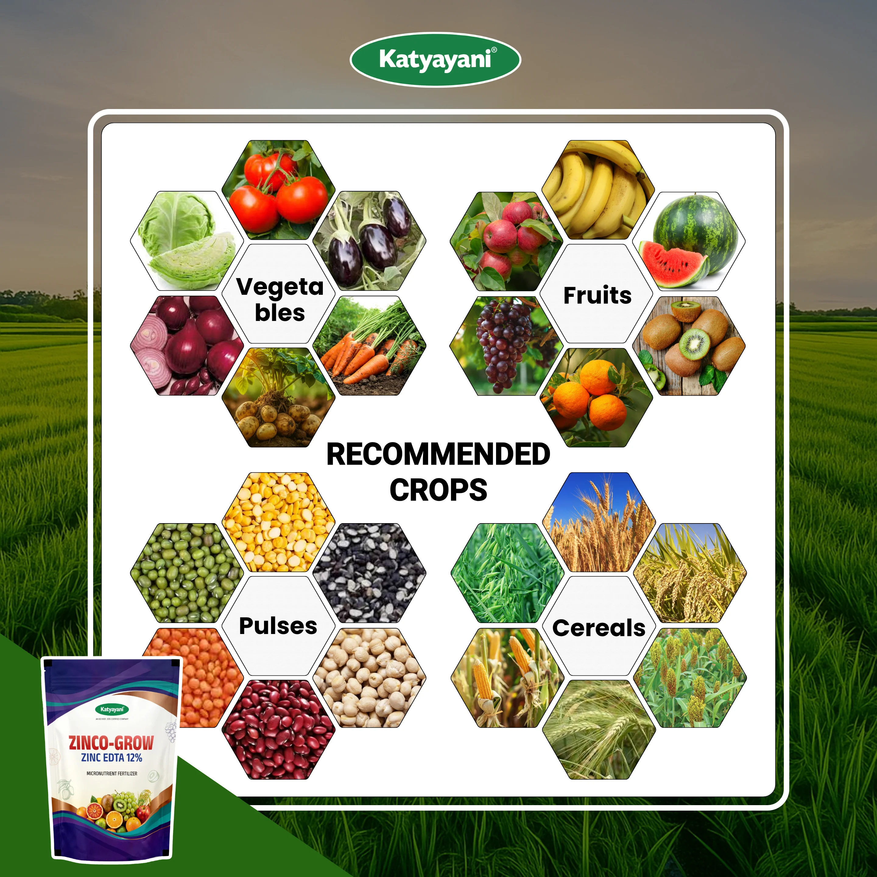 Katyayani Zinco Grow (Zinc EDTA 12%) Fertilizer | Soil Activator and Fertilizer for Crops - Image 4
